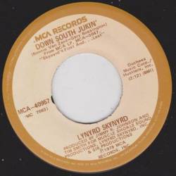 Lynyrd Skynyrd : Down South Jukin' - Wino